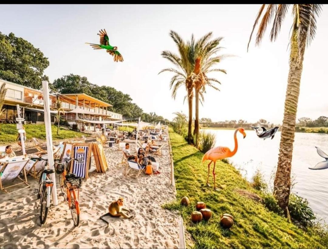 Night Host Trzebnicka 56 Free Parking